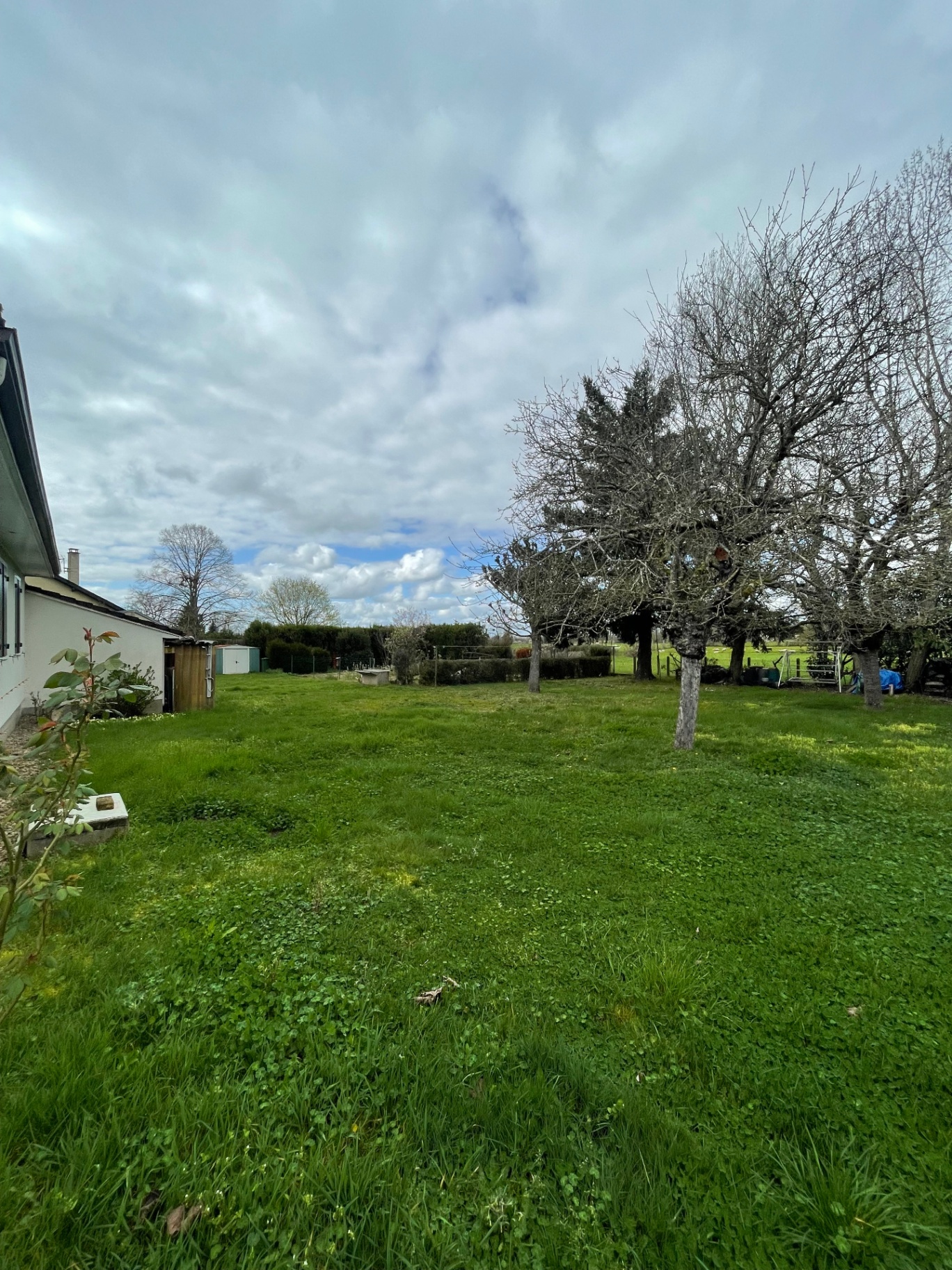 Avant — Jardin avant et après tonte par YDI Espaces Verts dans l'Allier