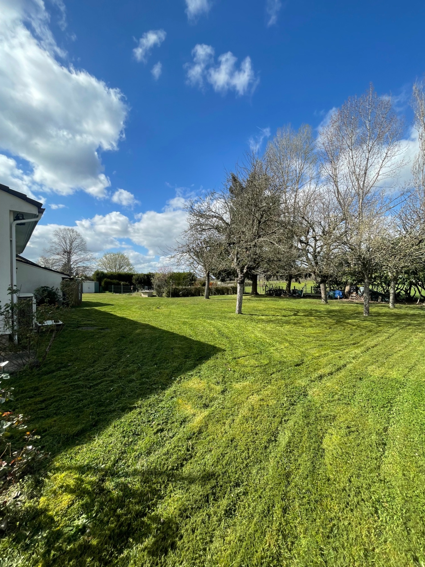 Après — Jardin avant et après tonte par YDI Espaces Verts dans l'Allier